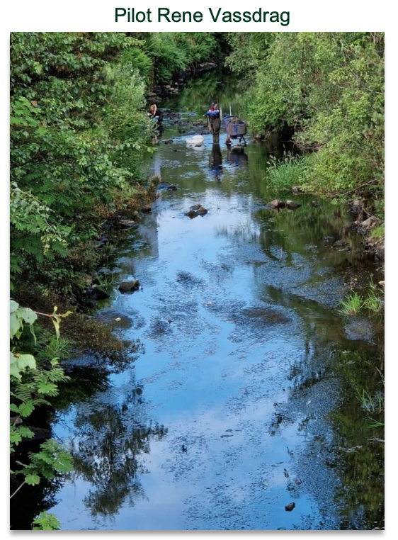 Rapport fra ryddeaktøren NovuMare AS 2023