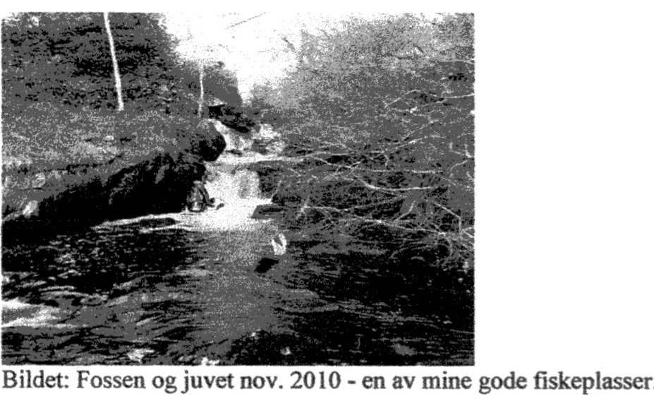 På jakt etter ørreten i Dale elven på femtitallet