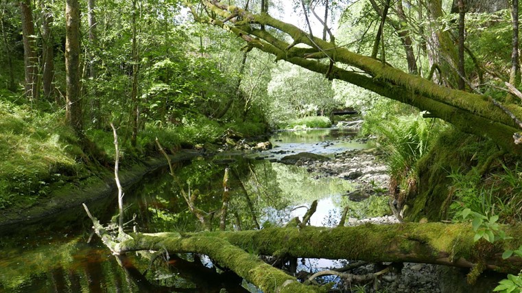 Dalelva - Brosjyre med forslag til turer.