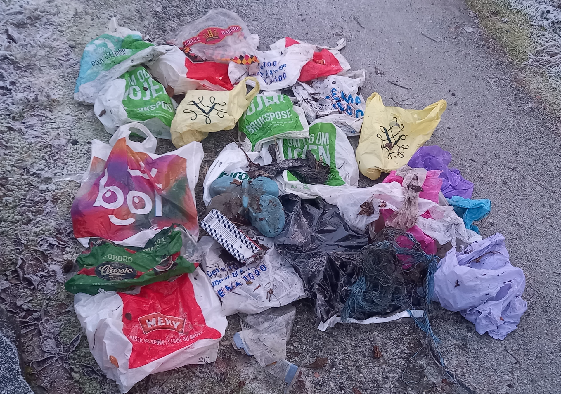 Rydding av plast i Hjortlandsbekken - i november. 