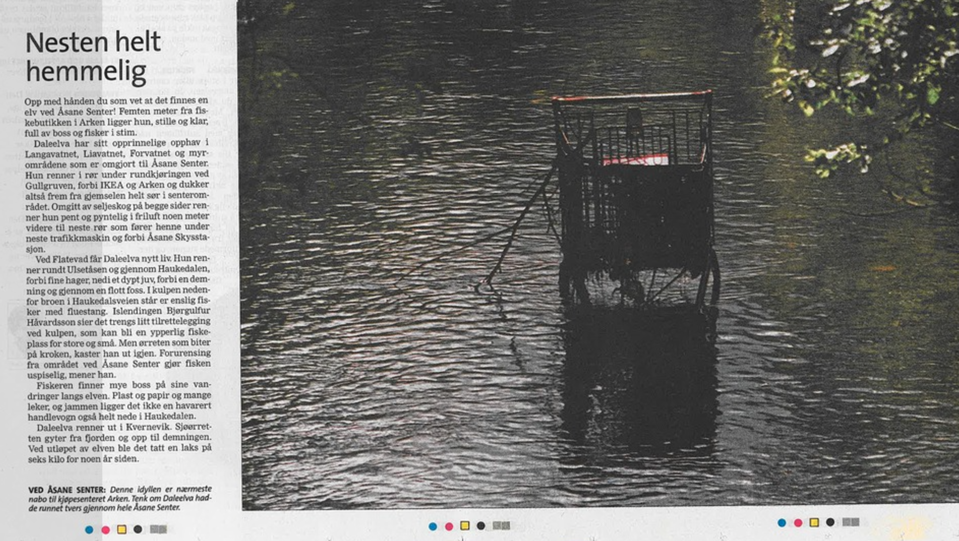 Utklipp fra artikkel: Bergens bortgjemte vassdrag