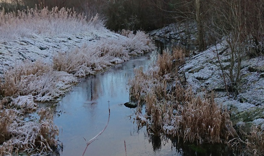 Årsmelding for 2024