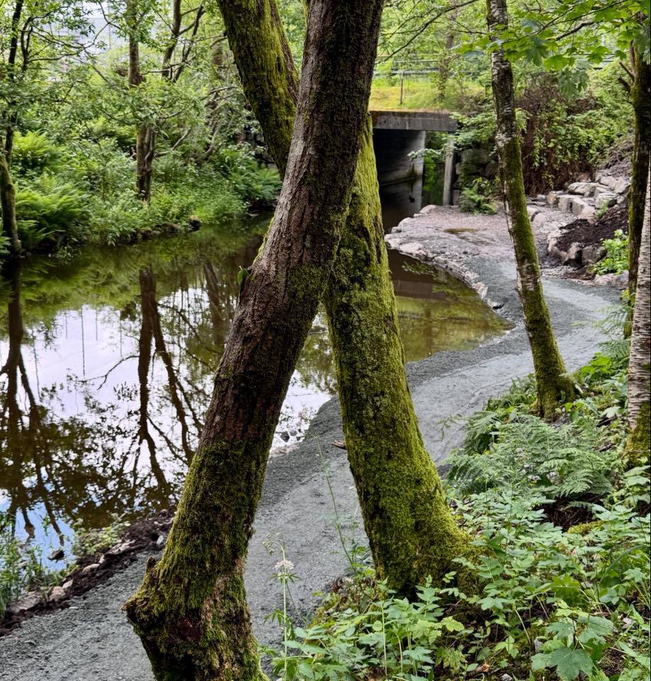 Årsmelding 2025 - Dalelvens Venner