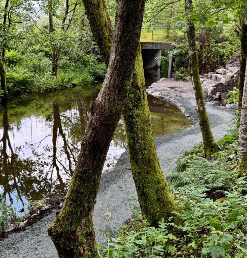 Årsmelding 2025 - Dalelvens Venner